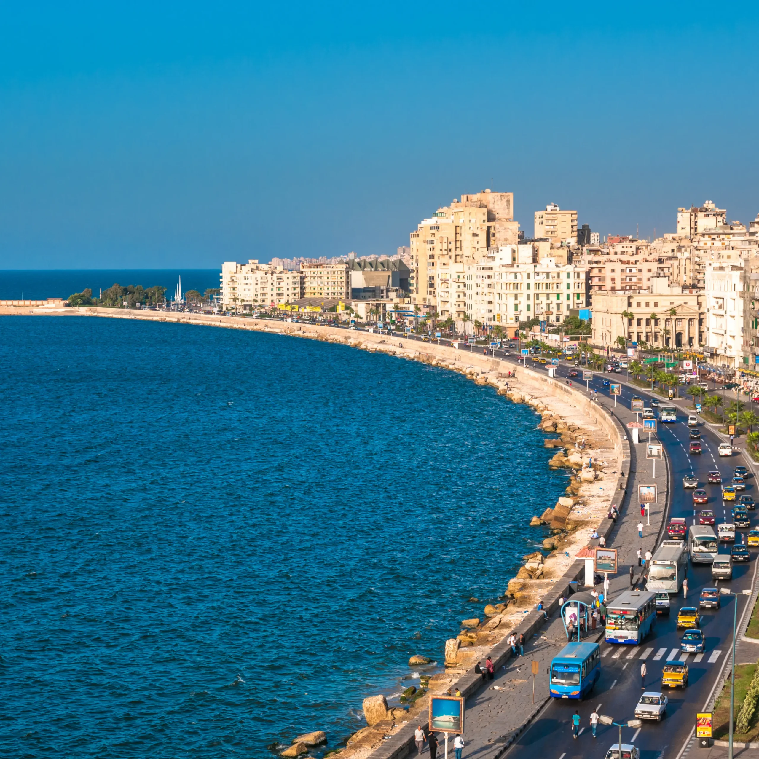 Alexandria (1)