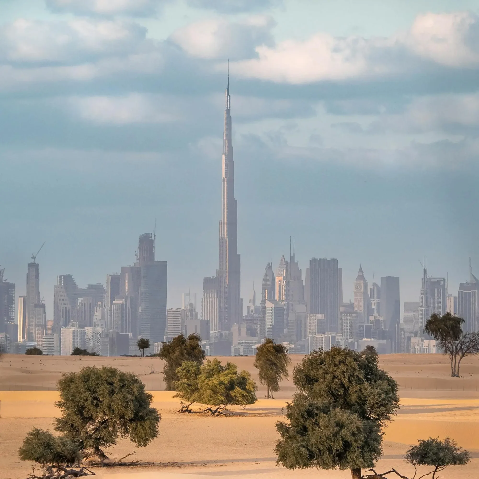 pexels-florian-kriechbaumer-1479976889-26926254